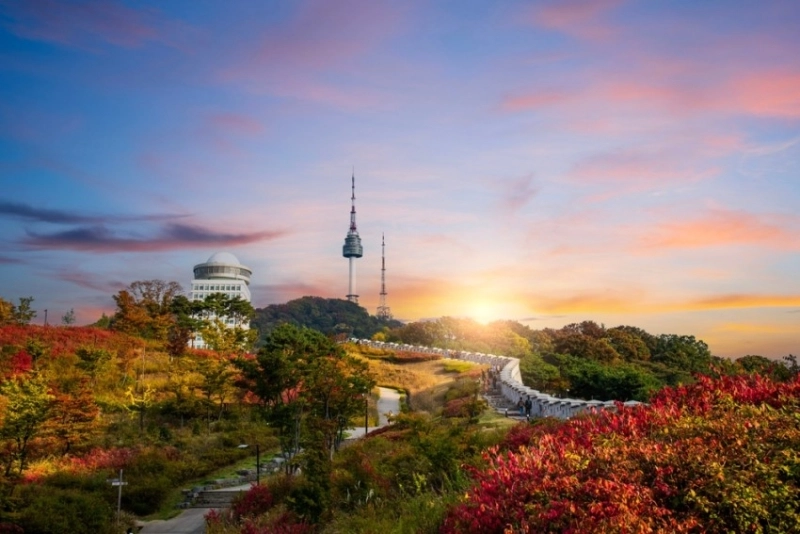 South Korean Travel & Tourism Sector Set to Reach New Heights in 2024